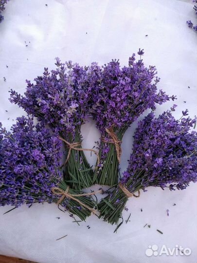 Букет лаванды, сашеты с лавандой