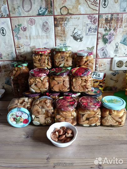 Грибы рыжики свежие и солёные