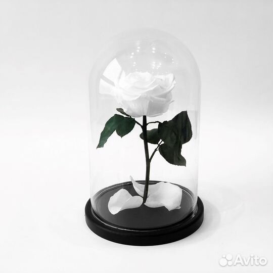 Роза в колбе. Много вариантов