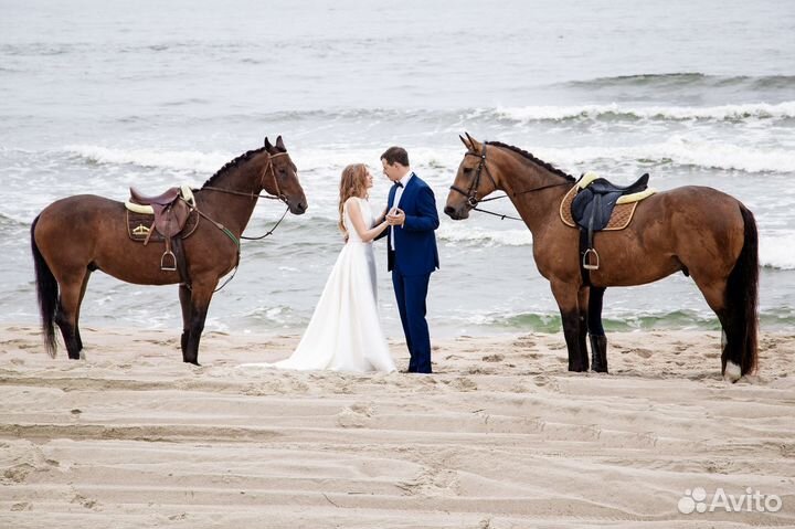 Maxstudio: видеосъемка, монтаж видео