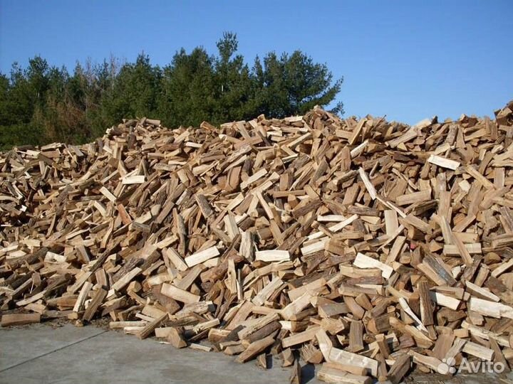Дрова березовые колотые сухие