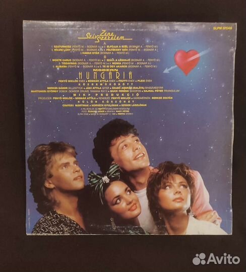 Виниловая пластинка