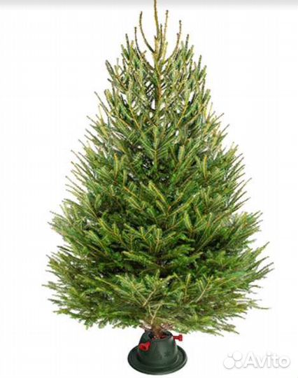 Елка новогодняя