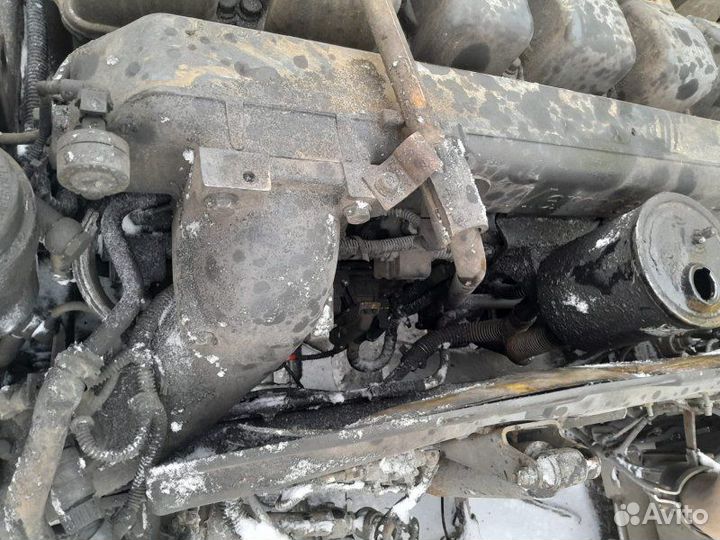 Двигатель Kamaz 5490 Kamaz 5490 2017