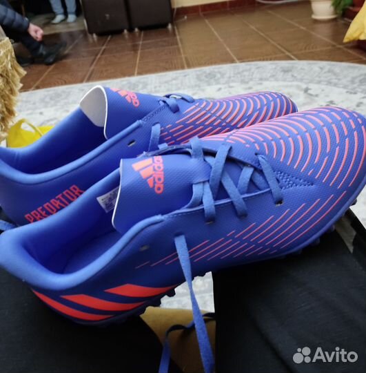 Сороконожка