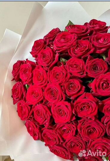 Букет 51 роза / Доставка цветов