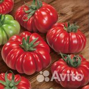 Семена томата Розо Паво F1 (Испания)