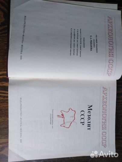 Мезолит СССР 1989 г