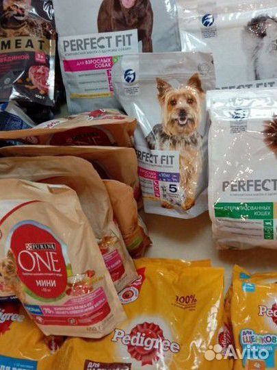 Перфект корм для кошек и собак брит педигри
