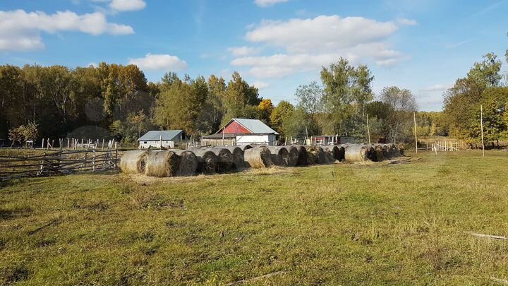 Дом 320 м² на участке 12 га