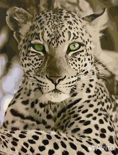 Картины по номерам