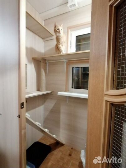 Зоогостиница. Частная. VIP. индивидуальный подход