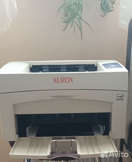 Принтер лазерный xerox 3117