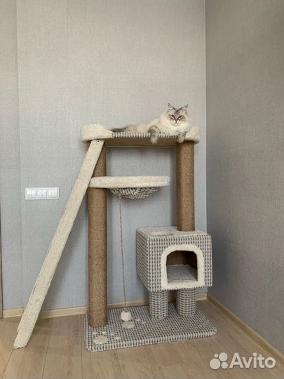 Когтеточка и игровой комплекс для крупных кошек