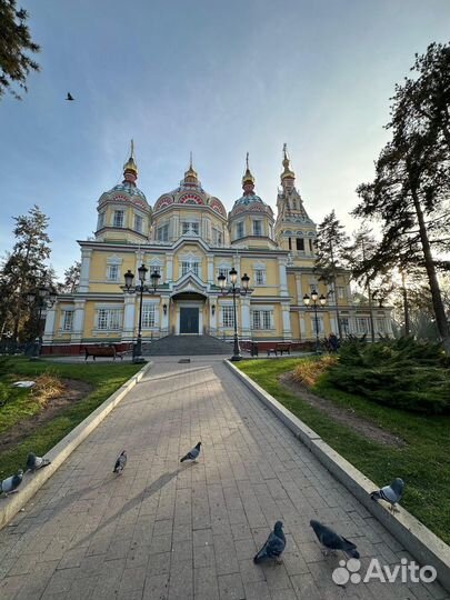 Алматы Топ-Экскурсия Поймать алматинский вайб— вми