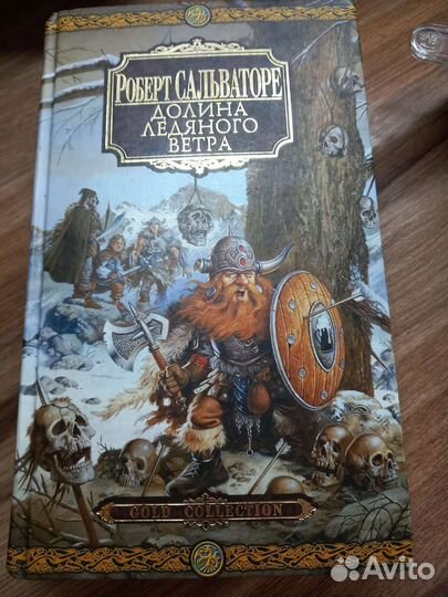 Книга Долина ледяного ветра