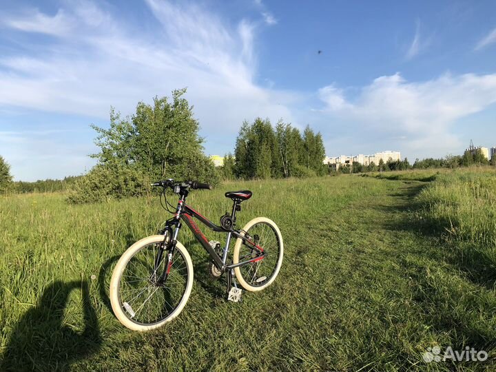 Mongoose rockadile 26