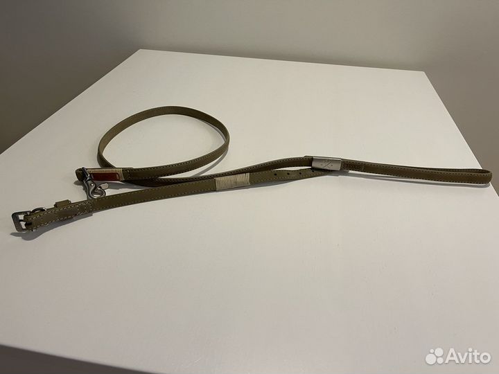 Ошейник и поводок для животного