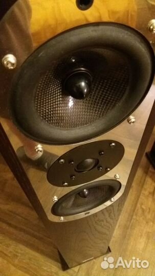 Напольная акустика колонки Asw genius 400