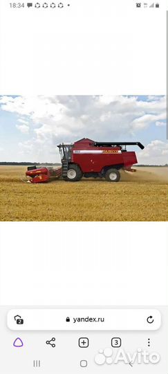 Уборка урожая кукурузы комбаином