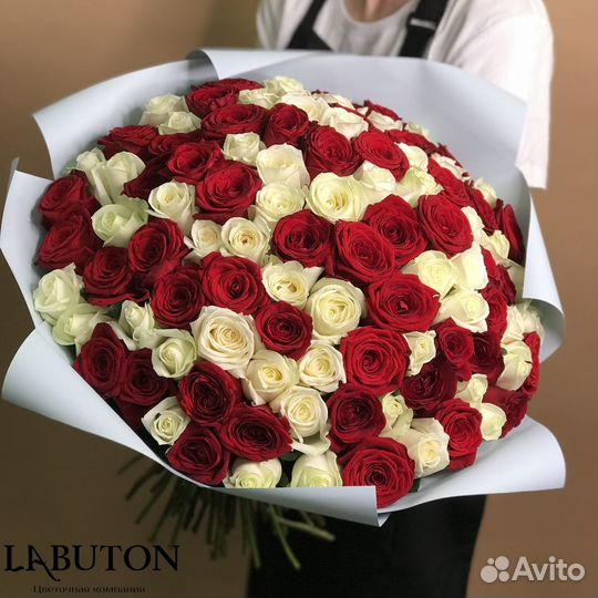 Цветы Розы Иркутск