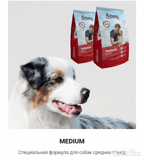 Сухой корм для собак