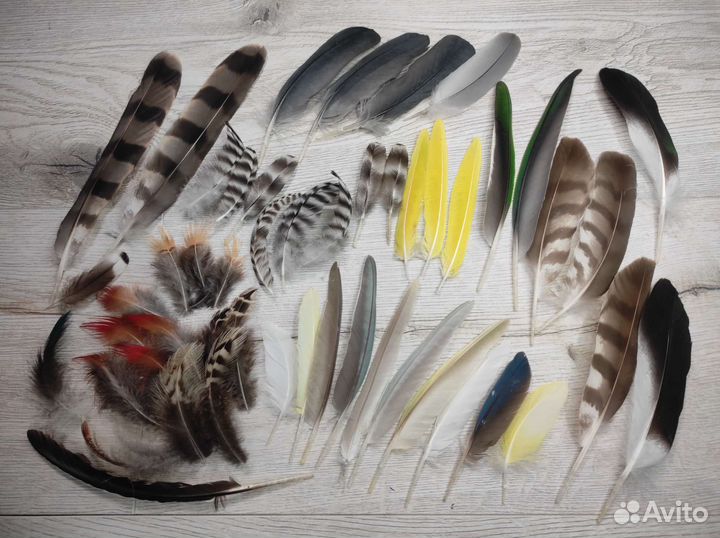 Наборы перьев