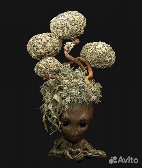 Деревья и панно из Цетрарии