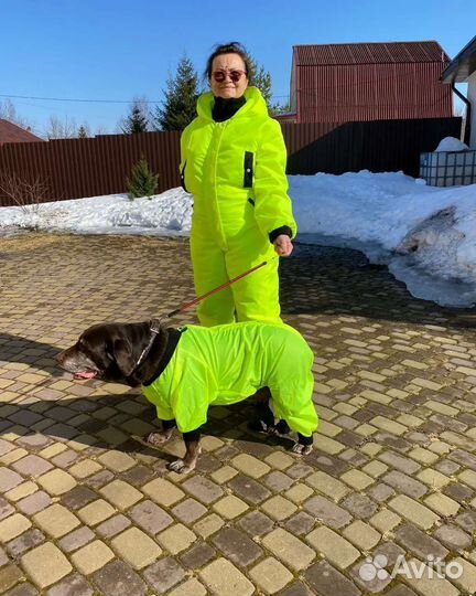Дождевик для собак
