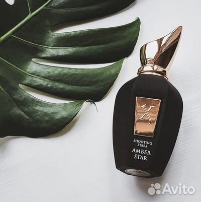 Парфюмерия Xerjoff Amber Star