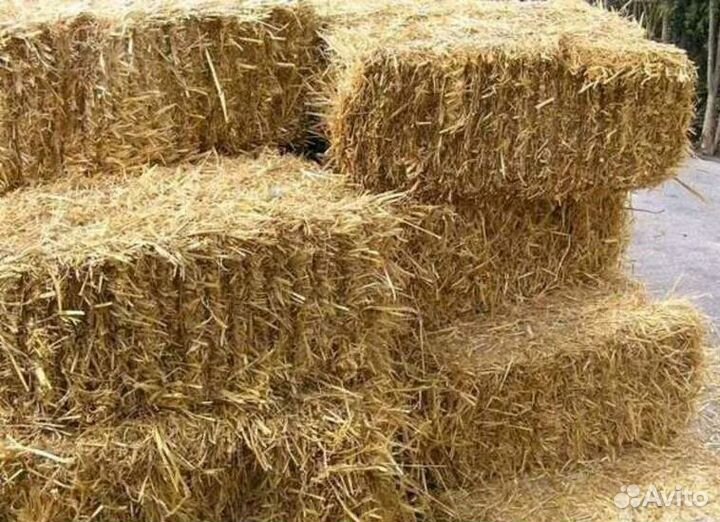 Фермерское хозяйство