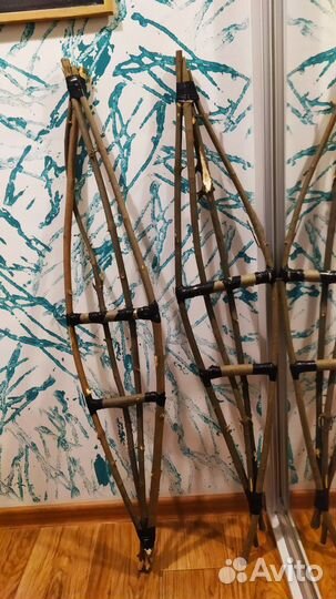 Снегоступы