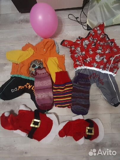 Одежда для маленьких собак