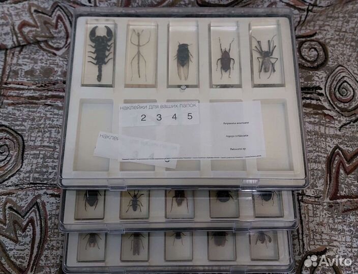 Коллекция насекомых от Deagostini 2010-2011