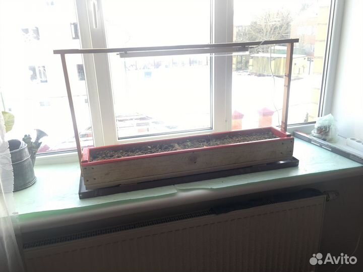 Ящик для рассады