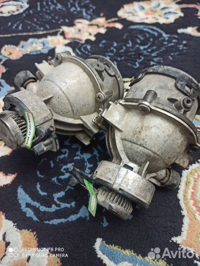 Птф галагены