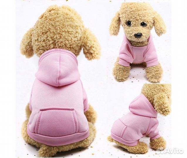 Одежда для собак
