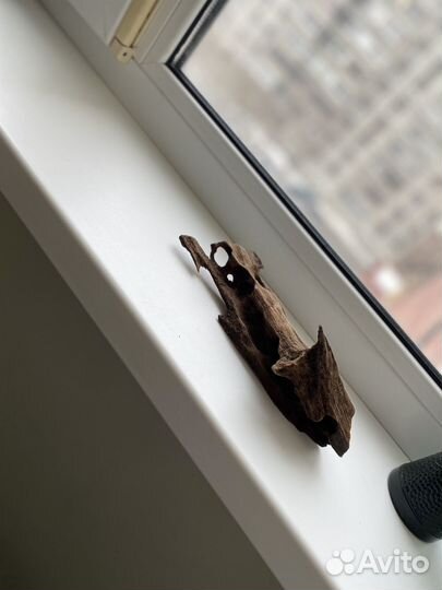 Коряги для аквариума