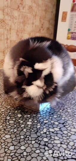 Норковая шапка женская