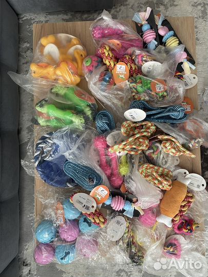 Игрушки и товары для собак и кошек в ассортименте