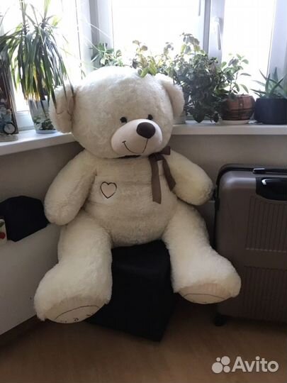 Новый плюшевый медведь + бесплатная доставка