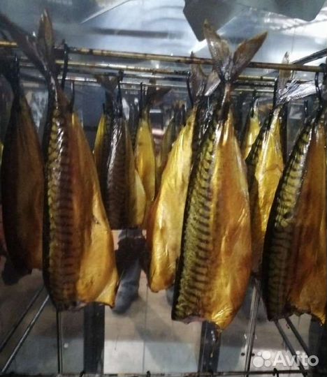 Копчёная рыба скумбрия