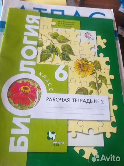 Рабочие тетради