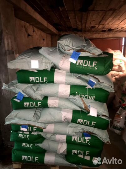 Рулонный газон, укладка. Посев. Гидропосев