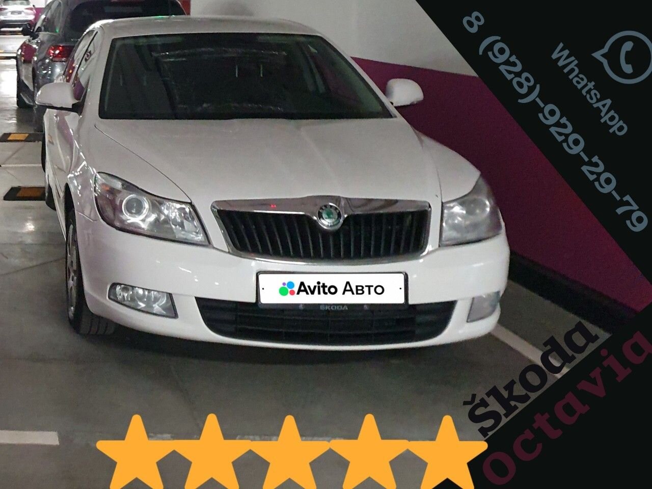 Skoda Octavia: фото владельца