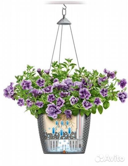 Кашпо для цветов Lechuza