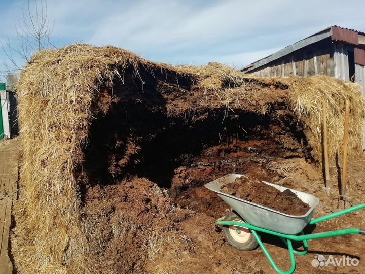 Перегной навоз