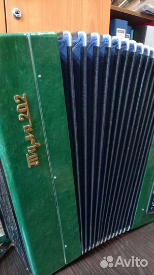 Баян тула 202