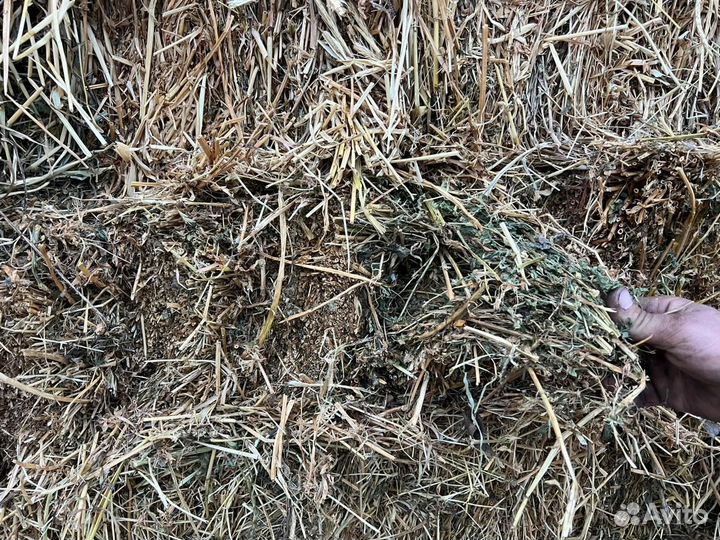 Сено в тюках