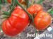 Семена коллекционные томатов